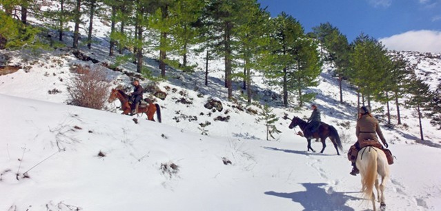 randonnee cheval hiver