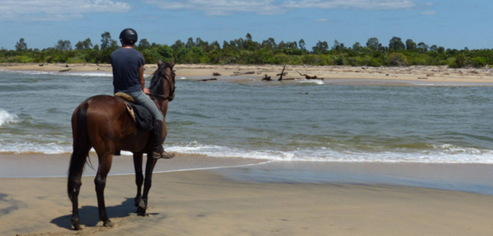Quand partir à Madagascar pour une randonnée à cheval ? 