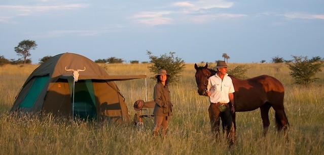 Quand partir au Botswana pour une randonnée à cheval ?