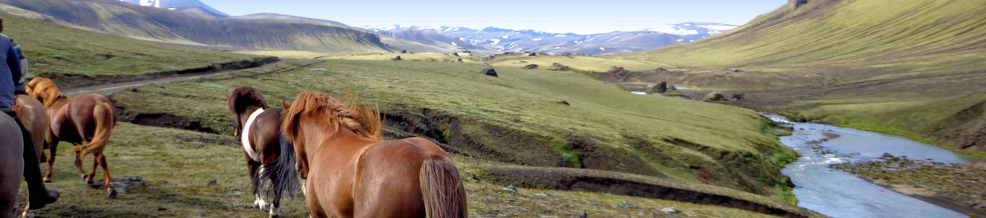 Voyages et randonnées à cheval en Islande 
