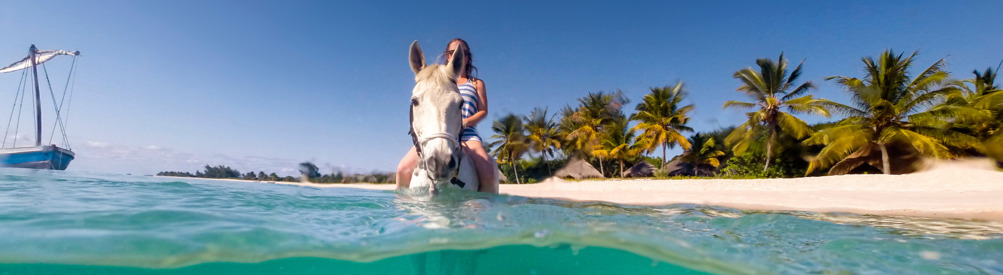 Voyage à cheval, séjour équestre