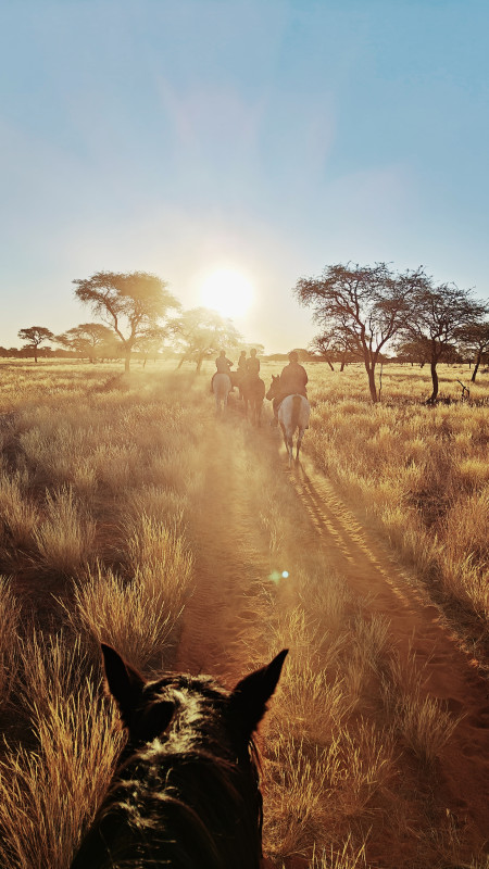 Avis de Cristelle - Voyage en Namibie