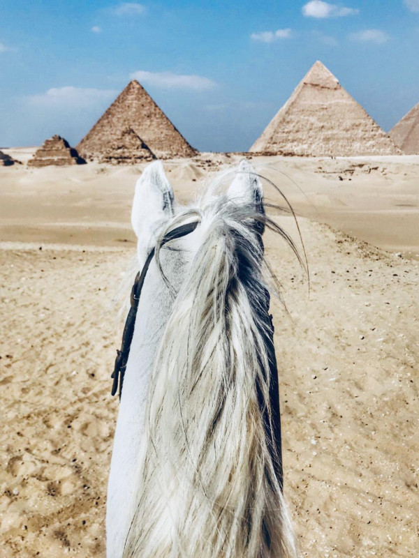 Avis de Corinne  - Voyage en Egypte