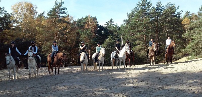 balade cheval 14