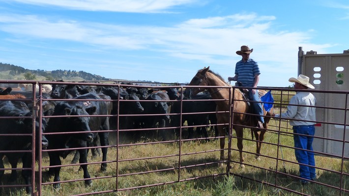 comment rencontrer des gens aux etats unis