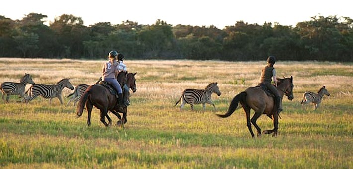 site de rencontre cheval