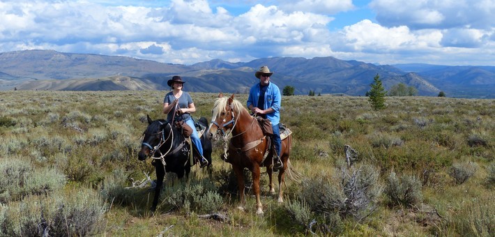 randonnee cheval yellowstone