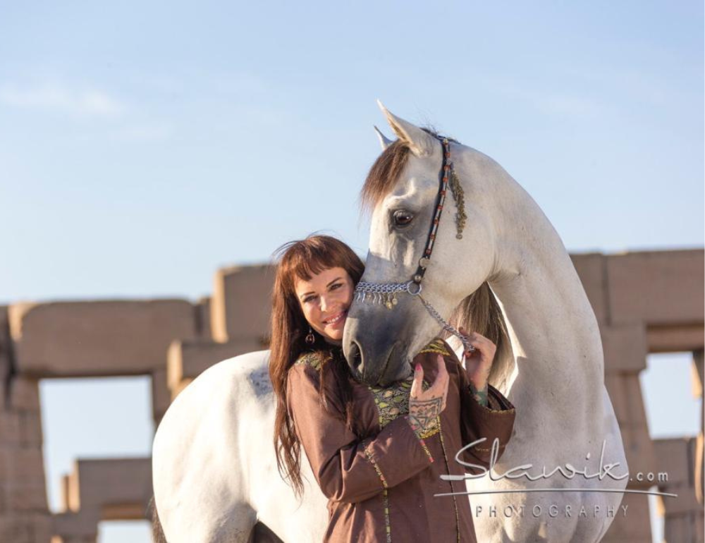 Escapade à cheval en Egypte : des Pyramides à la Mer Rouge