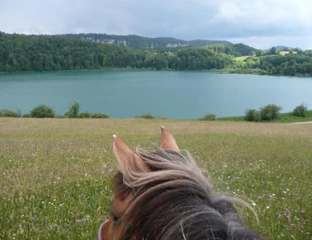 Week-end à cheval sur la trace des bisons d'Europe et des eaux sacrées du Jura