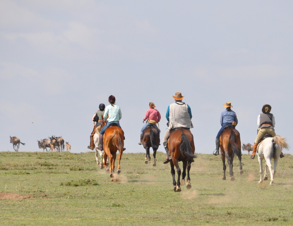 Safari à cheval en Tanzanie : la grande migration du Serengeti