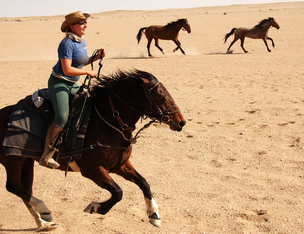 Randonnée à cheval sportive et galop dans le désert du Namib