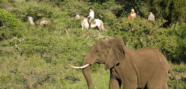 Safari équestre et multi activités en lodge de luxe au pied du Kilimandjaro - Caval&go
