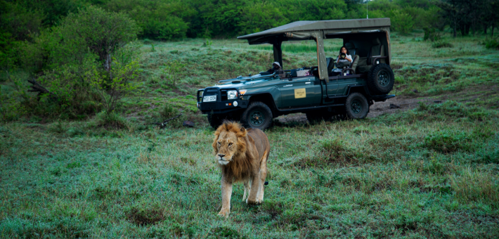 Safari équestre et multi activités en lodge de luxe au pied du Kilimandjaro - Caval&go