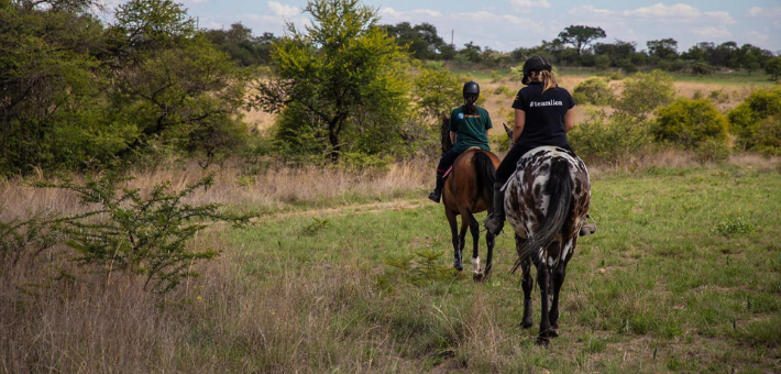 Séjour écovolontaire dans une réserve au Zimbabwe - Caval&go