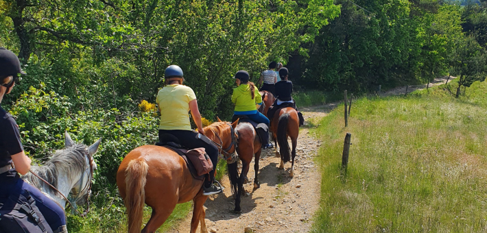 Randonnée à cheval du pays de Crussol au lac de Devesset en Ardèche - Caval&go