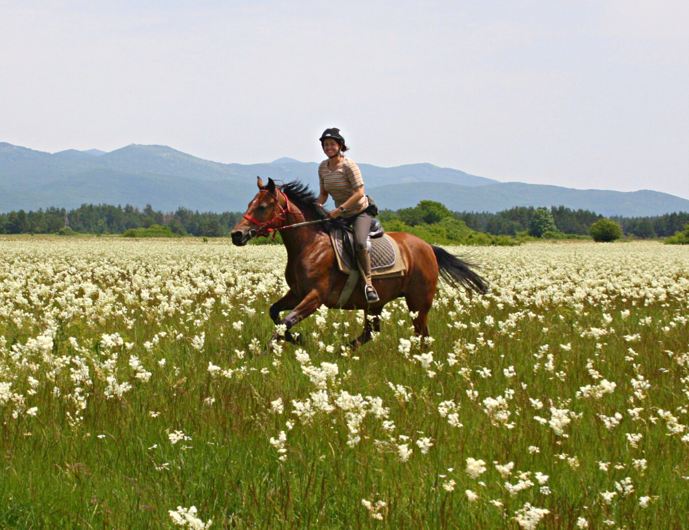 Randonnée à cheval en Croatie au Parc National des lacs de Plitvice