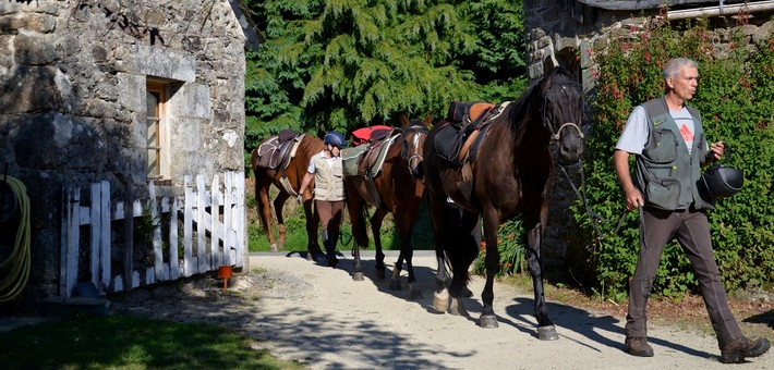 Randonnée à cheval en étoile au cœur des Montagnes Noires en Bretagne - Caval&go
