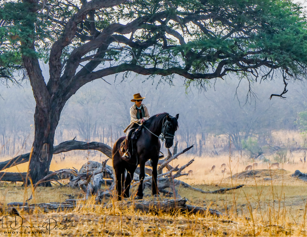 Safari Big Five dans le Hwange National Park au Zimbabwe