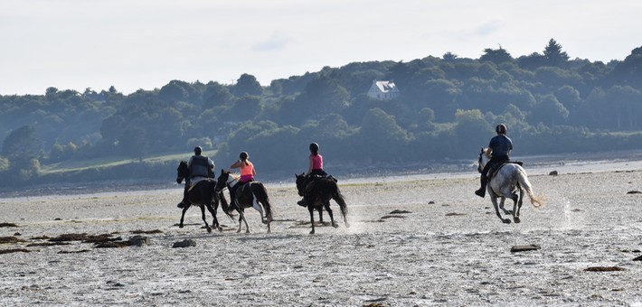 rencontres equitation