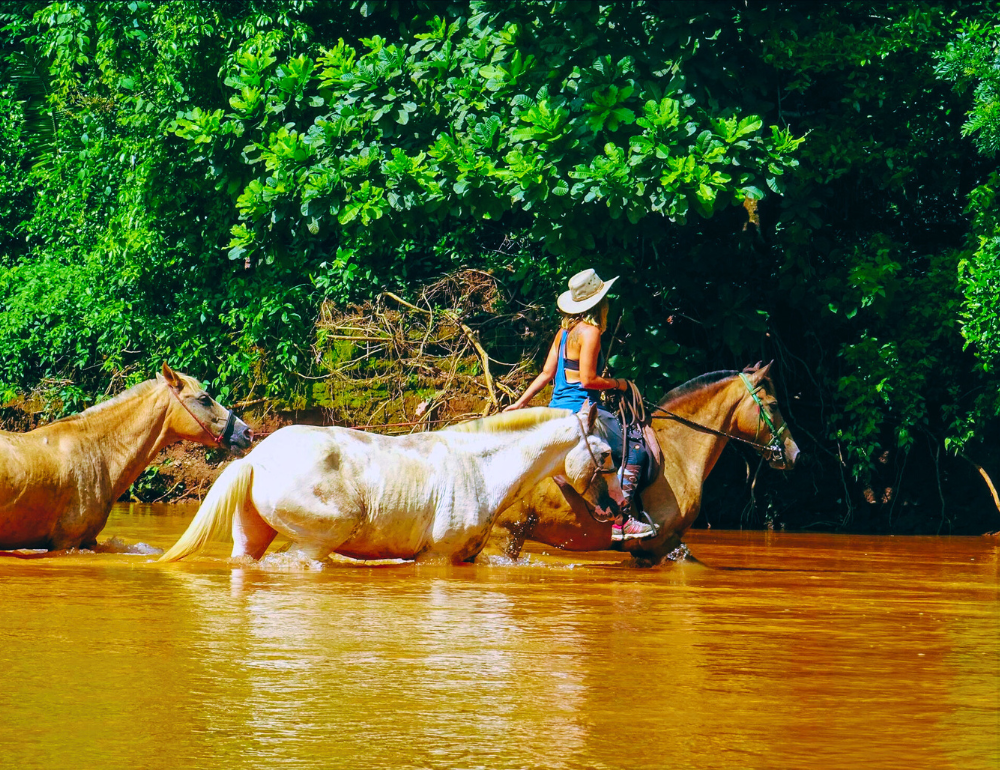 Voyage en liberté et cheval au Costa Rica entre jungle et volcans