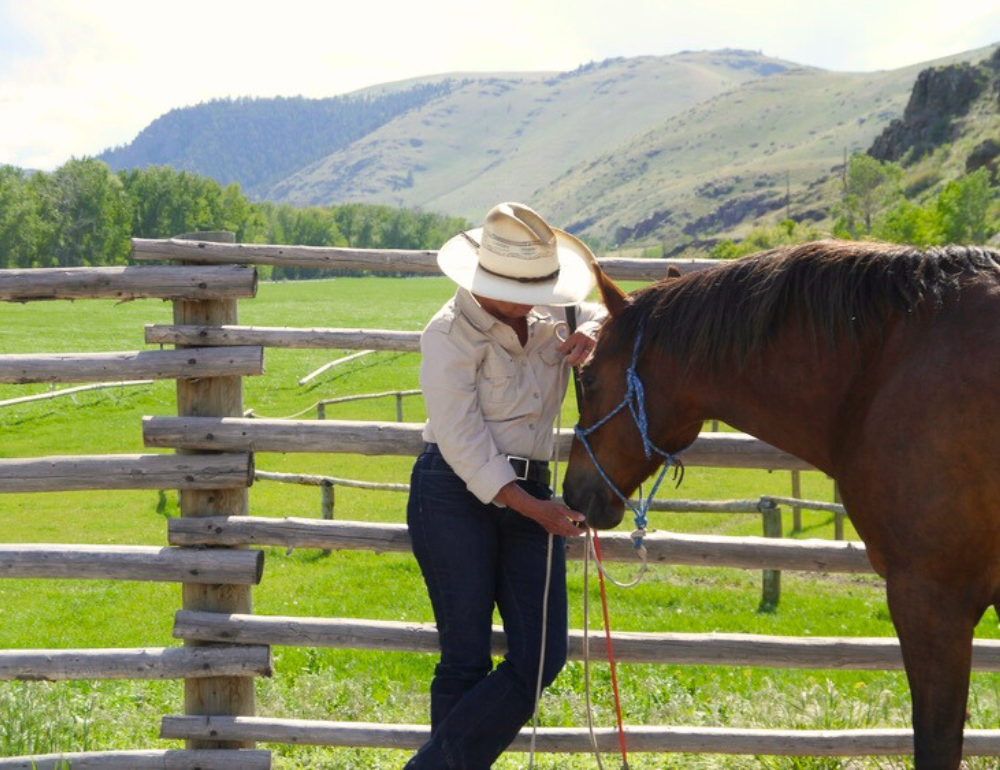 Séjour en ranch à la découverte de la méthode Parelli dans le Montana