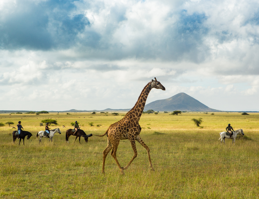 Safari équestre et multi activités en lodge de luxe et expédition dans le Maasai Mara, Kenya