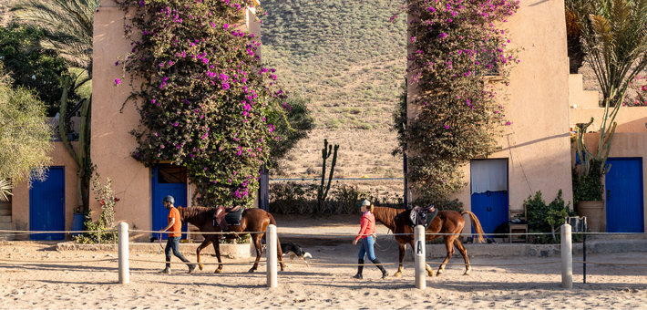 Séjour initiation à la randonnée équestre en ranch sur la côte au Maroc