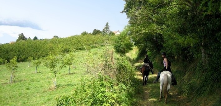 Randonnée à cheval dans la Vallée des Châteaux
