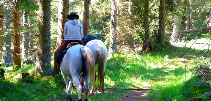 randonnee cheval volcan auvergne