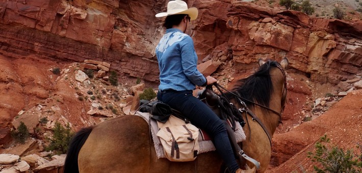 site de rencontres pour amoureux des chevaux