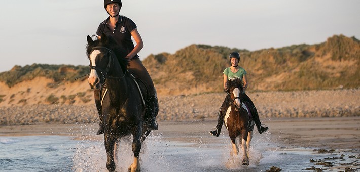 rencontre amoureuse equitation