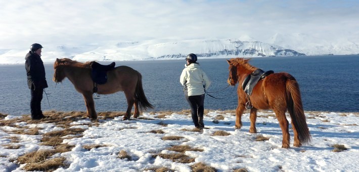 randonnee a cheval en islande