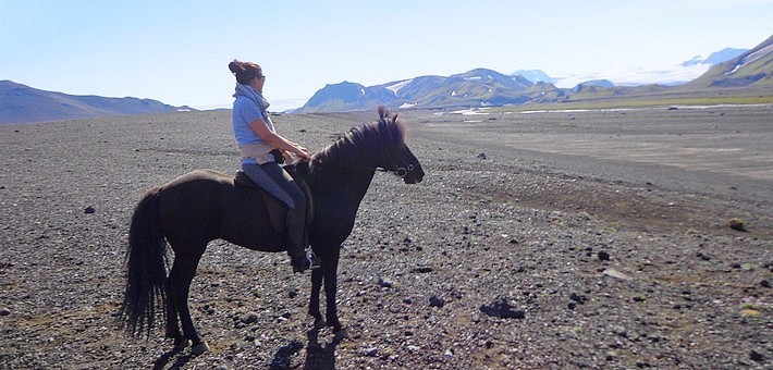 balade cheval islande