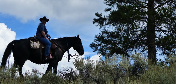 randonnee equestre wyoming