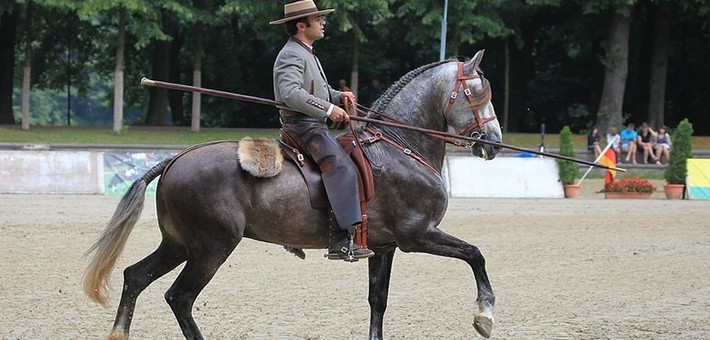 randonnee cheval 59