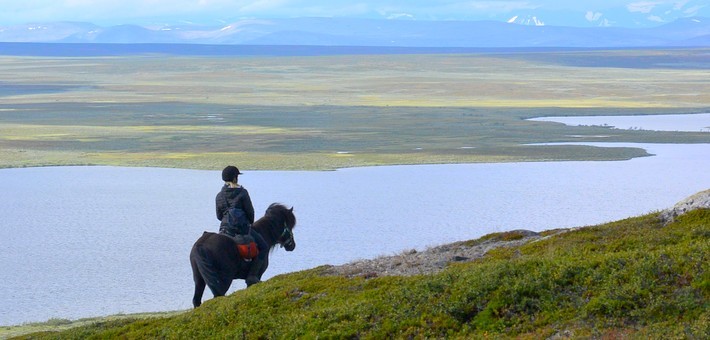 Randonnée à cheval en Suède - Caval&go