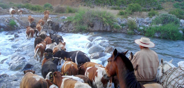 Randonnée à cheval au coeur du Chili - Caval&go