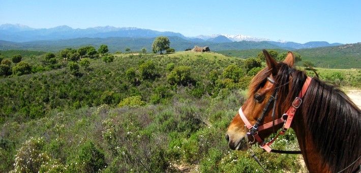 randonnee cheval 06