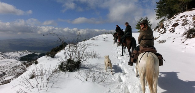 randonnee cheval hiver