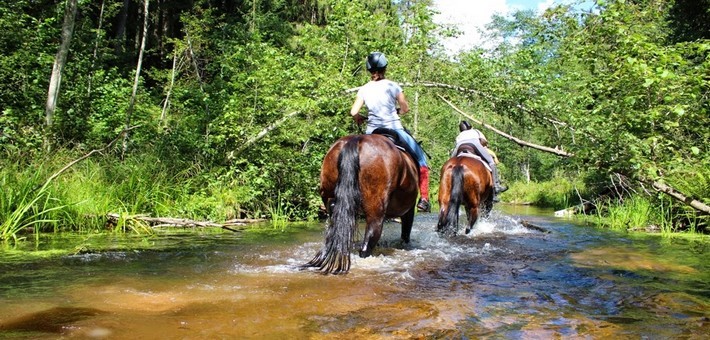 randonnee a cheval nord pas de calais