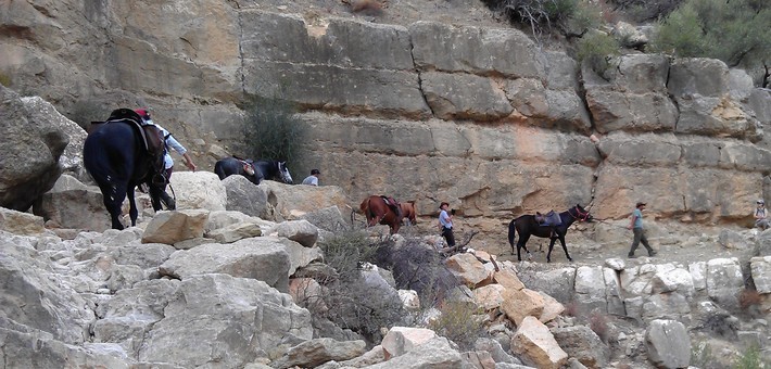 Randonnée à cheval dans les oasis, petits paradis du Maroc - Caval&go