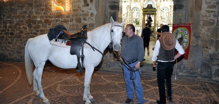 Pèlerinage à cheval en Sicile, fête de la “Canella”
