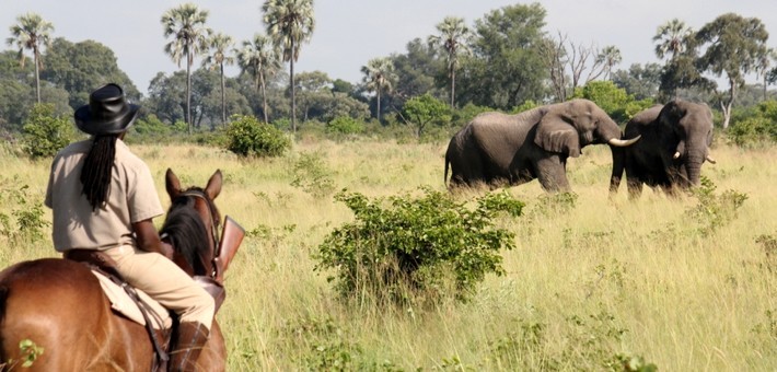 Safari à cheval au Botswana et exploration du delta de l