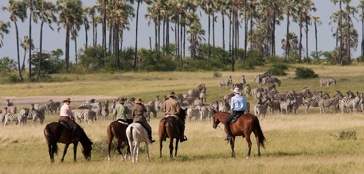 Safari équestre au Botswana