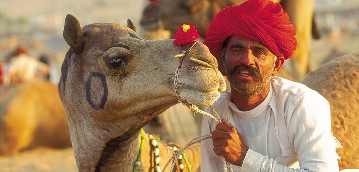 Se mêler aux traditions de la foire de Nagaur