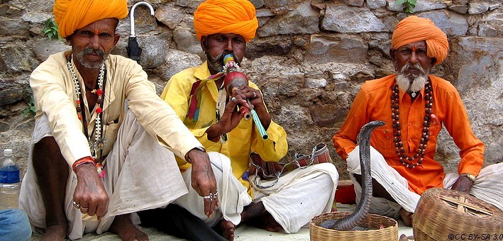 Charmeurs de serpents à la foire de chevaux et de chameaux à Nagaur en Inde.