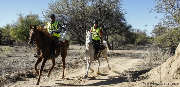 Course d'endurance en Namibie - Caval&go