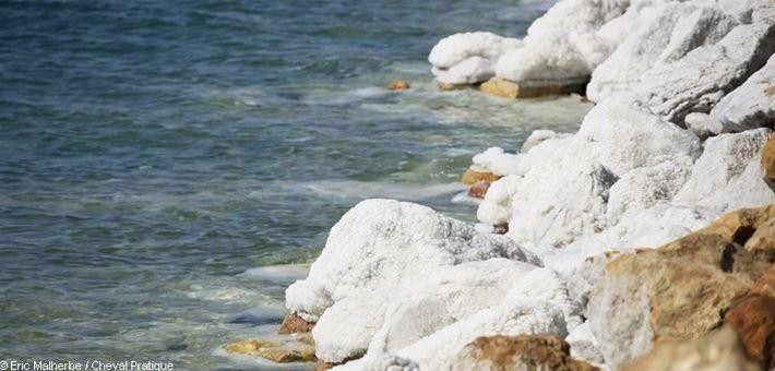 La Mer Morte La Mer Morte