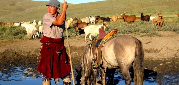 Éleveur mongole et son cheval