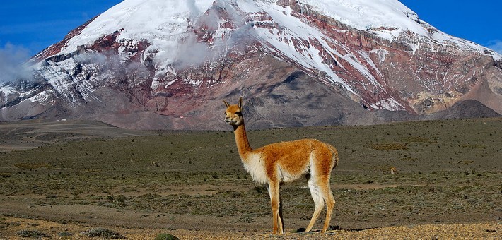 Volcan Cotopaxi